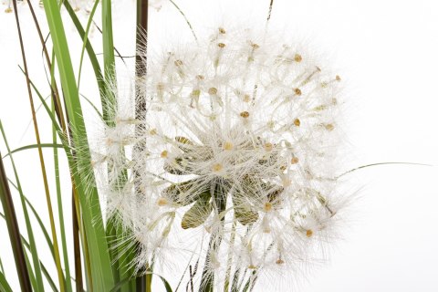 Roślina Dekoracyjna Led