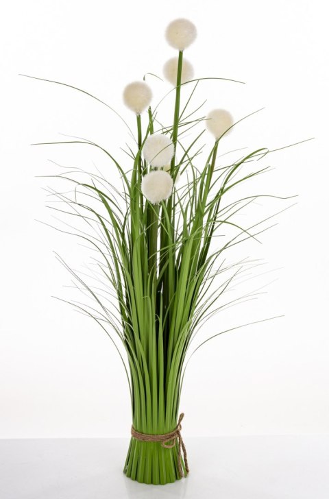 Roslina Dekoracyjna Led