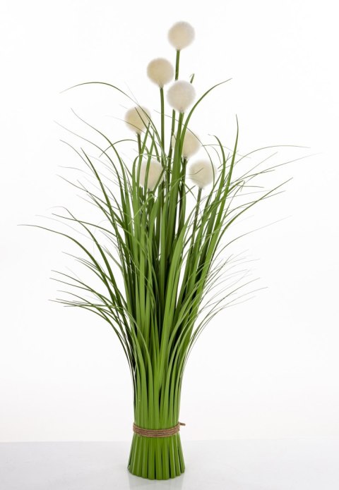 Roslina Dekoracyjna Led