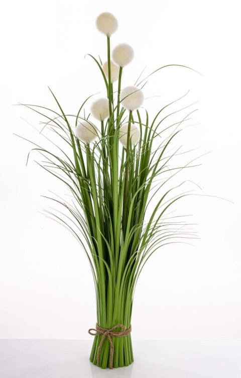 Roslina Dekoracyjna Led