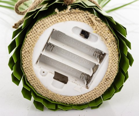 Roslina Dekoracyjna Led