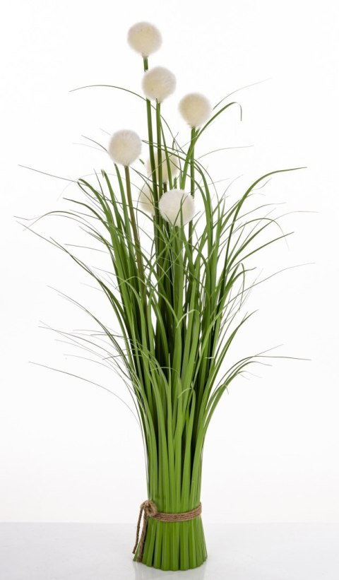 Roslina Dekoracyjna Led