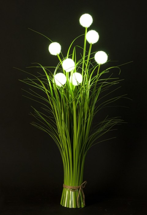 Roslina Dekoracyjna Led