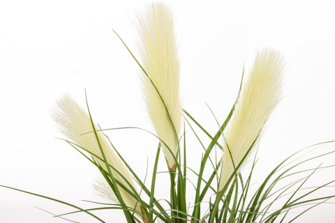 Roślina Dekoracyjna Led