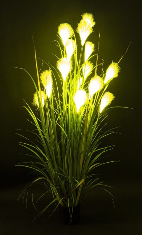 Roślina Dekoracyjna Led