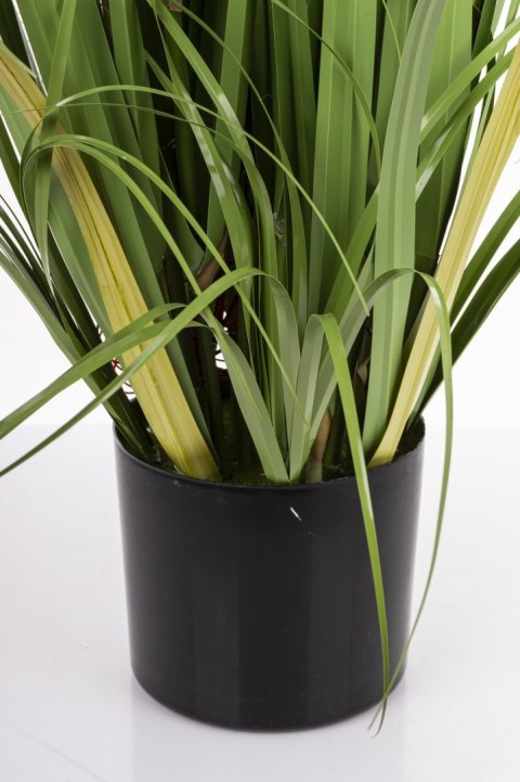 Roślina Dekoracyjna Led