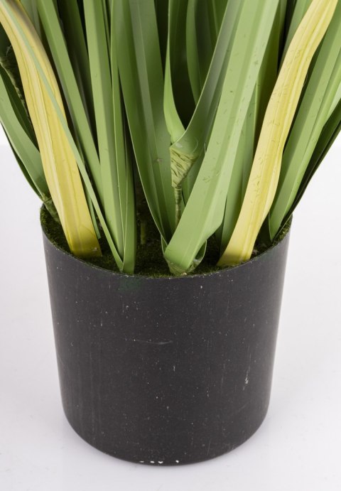 Roślina Dekoracyjna Led