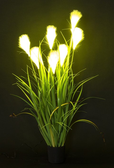 Roślina Dekoracyjna Led