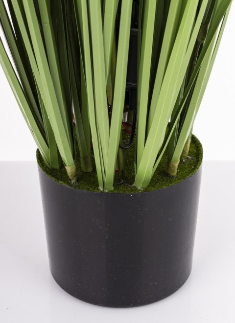 Roślina Dekoracyjna Led