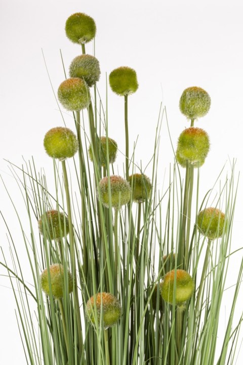 Roślina Dekoracyjna Led