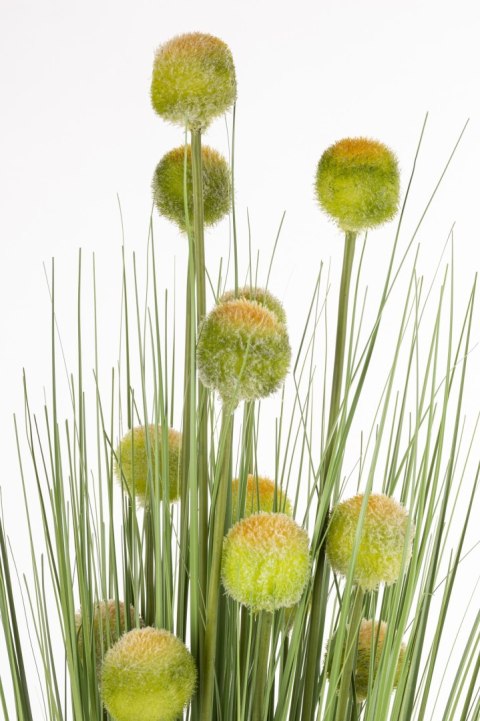 Roślina Dekoracyjna Led