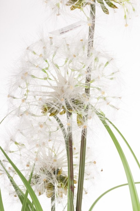 Roślina Dekoracyjna Led