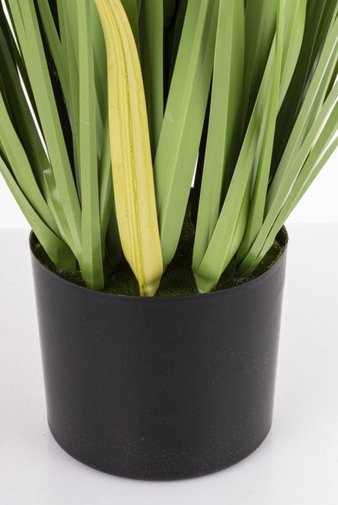 Roślina Dekoracyjna Led