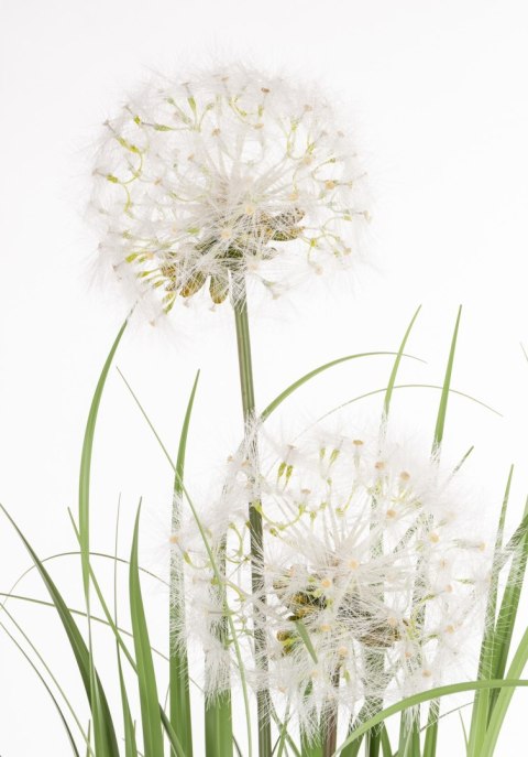 Roślina Dekoracyjna Led