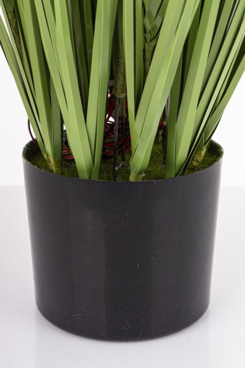 Roślina Dekoracyjna Led