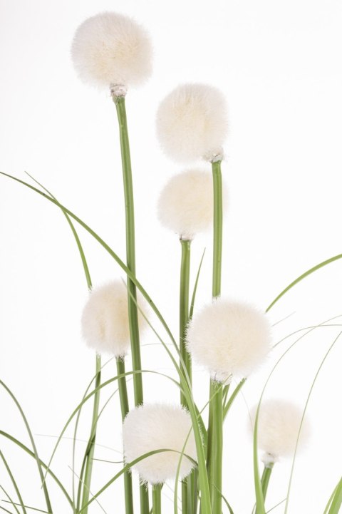 Roślina Dekoracyjna Led