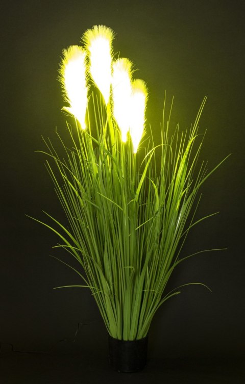 Roślina Dekoracyjna Led