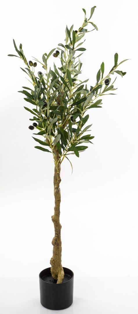 Sztuczne Drzewko Oliwne Iicz.