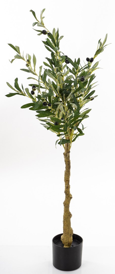 Sztuczne Drzewko Oliwne Iicz.