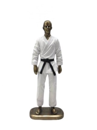 Figurka Meżczyzna Karateka