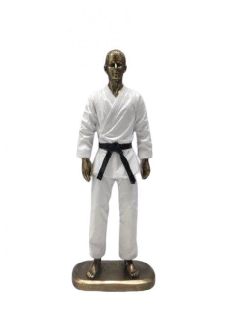 Figurka Meżczyzna Karateka
