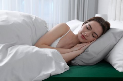 PRZEŚCIERADŁO Z GUMKĄ BASIC 220 X 200 X 30 CM BUTELKOWY ZIELONY