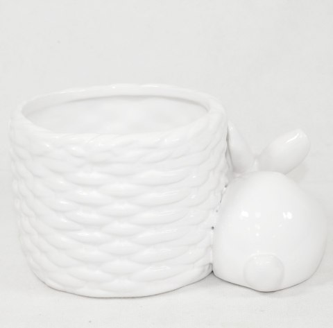 Osłonka Z Zajaczkiem