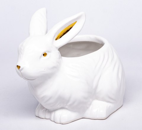 Osłonka Z Zajączkiem