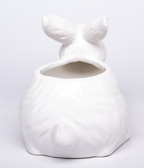 Osłonka Z Zajączkiem