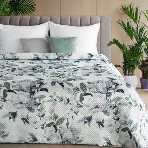 SI/N/LOTI/B+SREB 170X210 B+OLIW