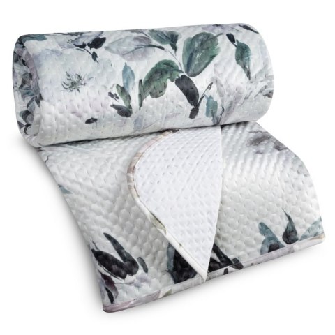 SI/N/LOTI/B+SREB 170X210 B+OLIW