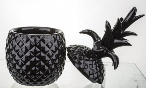 Pojemnik Ananas