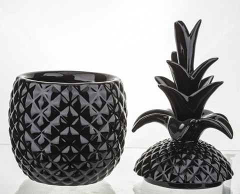 Pojemnik Ananas