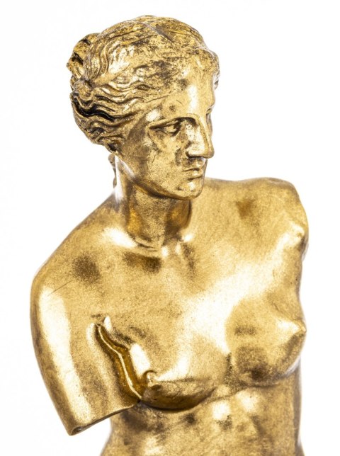 Figura Venus