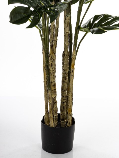 Roślina Dekoracyjna Monstera