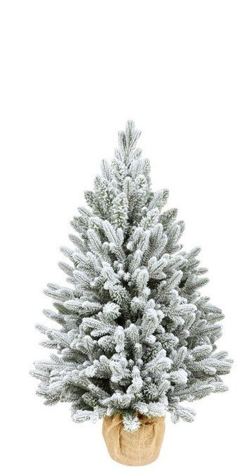 Pl Choinka Crystal Spruce Pe Snow 75Cm