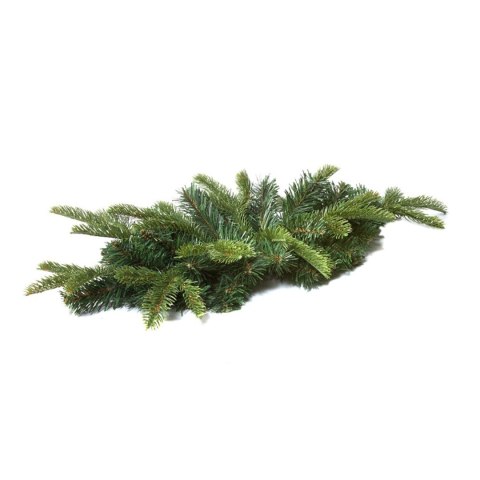 Pl Stroik 50 Cm