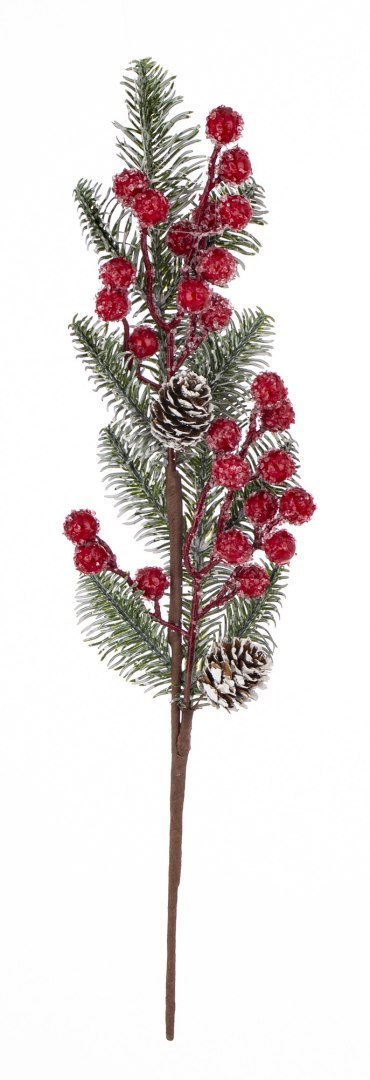 Gałązka