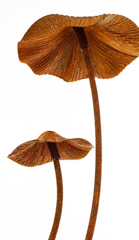 Dekoracja Ogrodowa