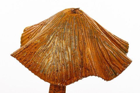Dekoracja Ogrodowa