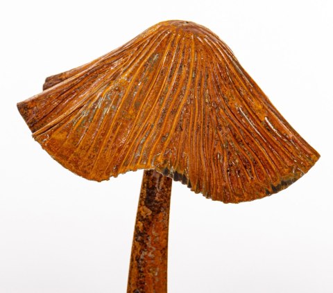 Dekoracja Ogrodowa