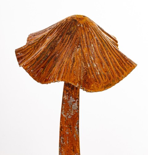 Dekoracja Ogrodowa