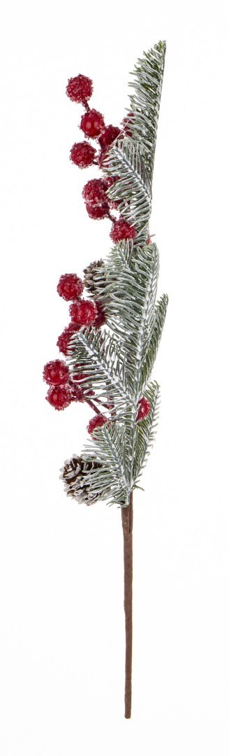 Gałązka