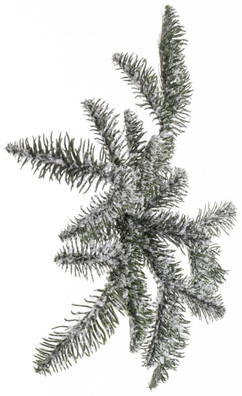 Gałązka