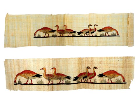 Papirus Papirus