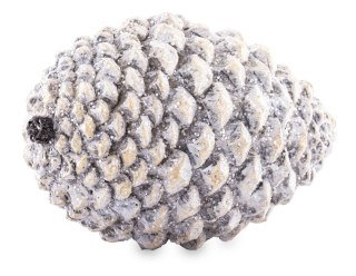 Ozdobna Szyszka-Prom.