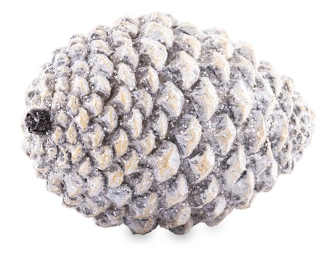 Ozdobna Szyszka-Prom.