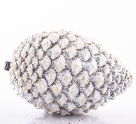 Ozdobna Szyszka-Prom.