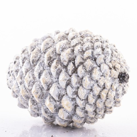 Ozdobna Szyszka-Prom.